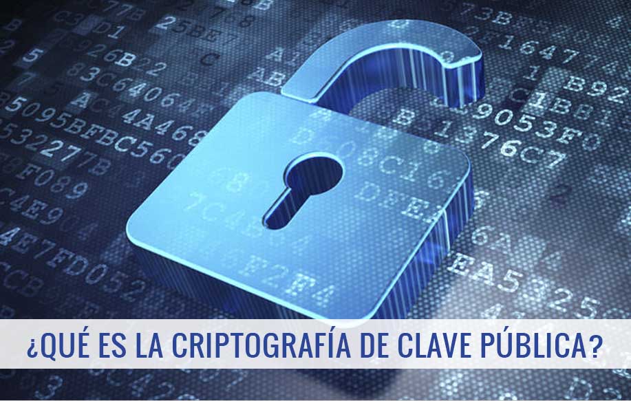 Lee más sobre el artículo ¿Qué es un Criptosistema de Clave Pública?
